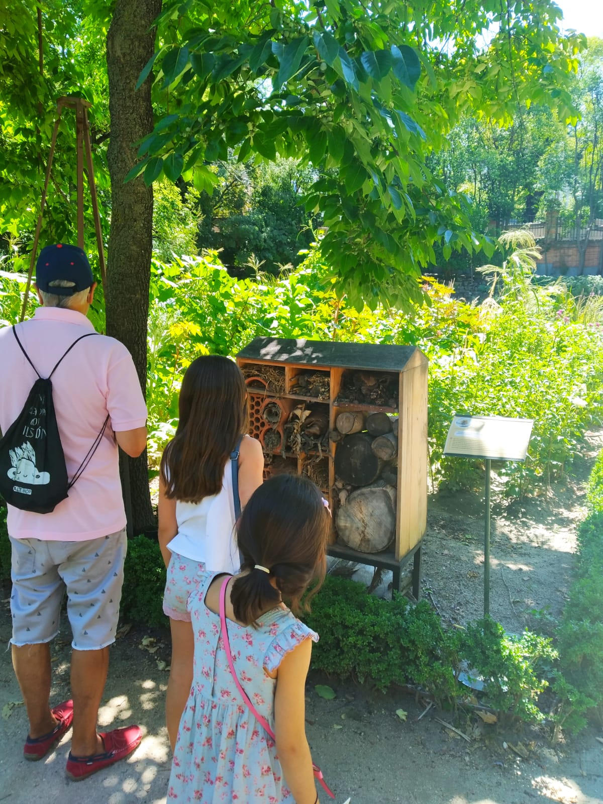 Peppa Pig y su familia nos enseñan desde mañana en el Real Jardín Botánico  cómo defender el medio natural y mejorar nuestro planeta - Real Jardín  Botánico de Madrid