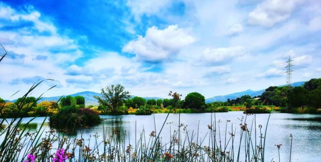 Lago del parque del Falgar - Mamá Tiene un Plan.