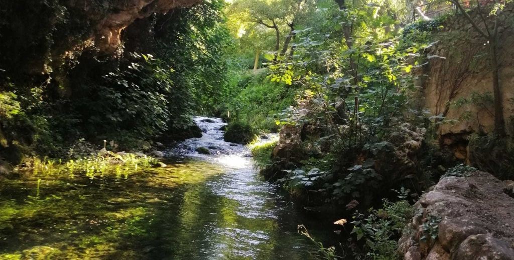 Espacios naturales que rodean la Puebla de Benifasar - Mamá Tiene un Plan.
