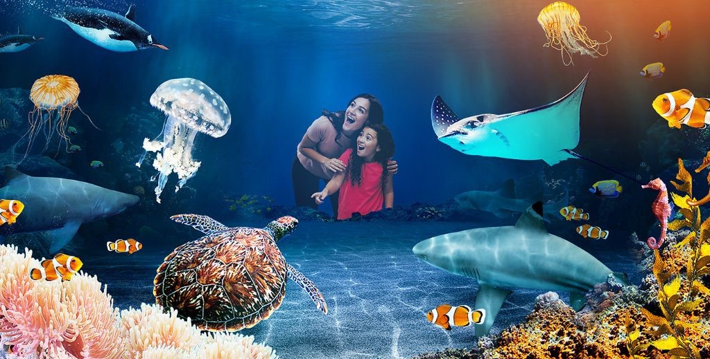 Sea Life Benalmádena - Mamá Tiene un Plan.