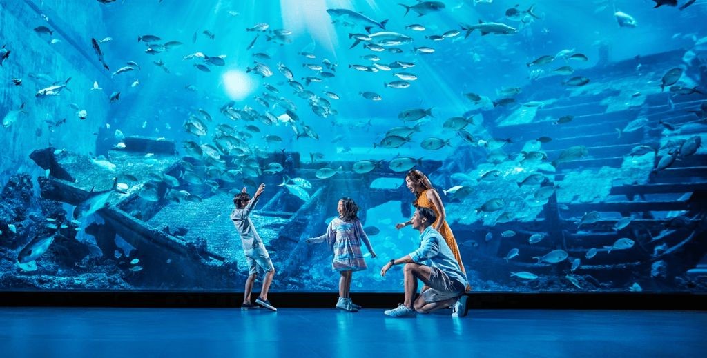 Interior del Acuario de Sevilla - Mamá Tiene un Plan.