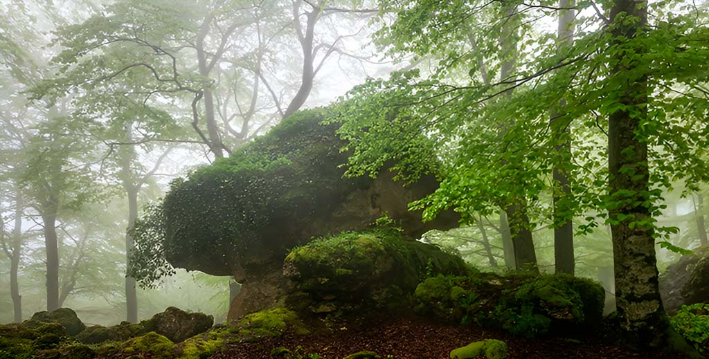 Bosque Encantado 00 mamatieneunplan