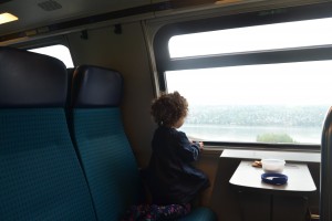 Visita a Suiza con niños 2 DSC_2141