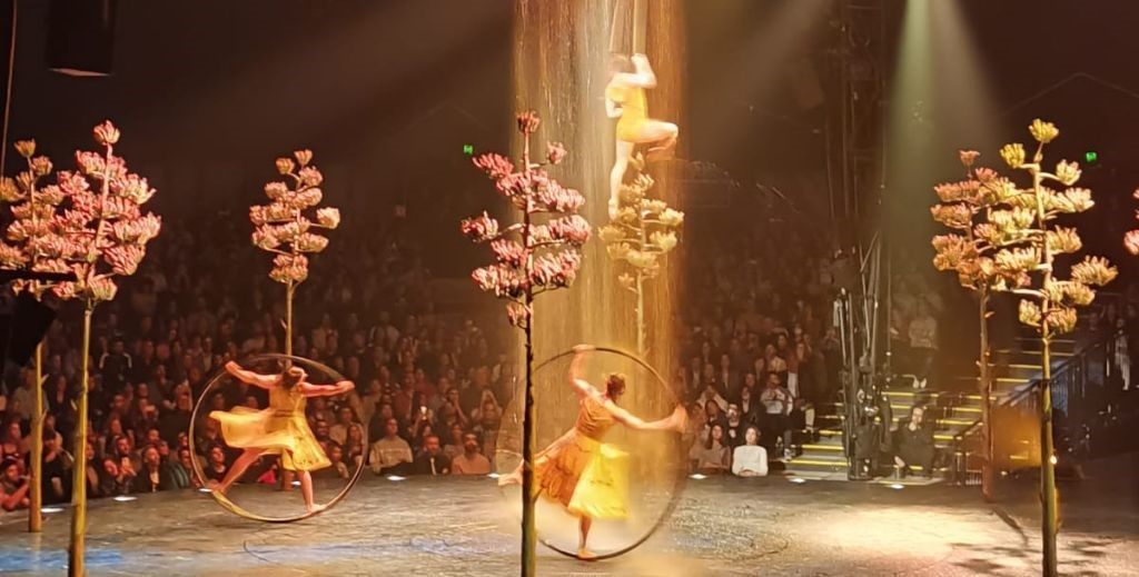 cirque du soleil luzia mamatieneunplan 00 circo del sol