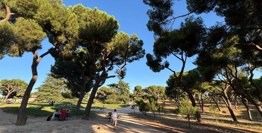 La Dehesa de la Villa, un bosque de pinares es el entorno en el que se encuentra el restaurante El Mirador del Narcea - Mamá Tiene un Plan.