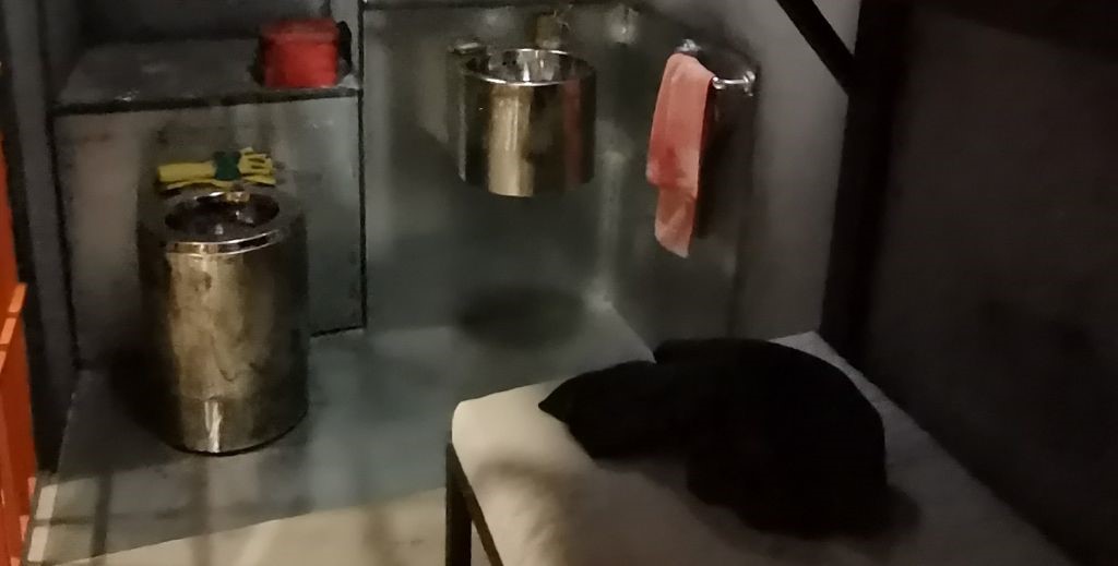 escape room con ninos mamatieneunplan 05 fox in a