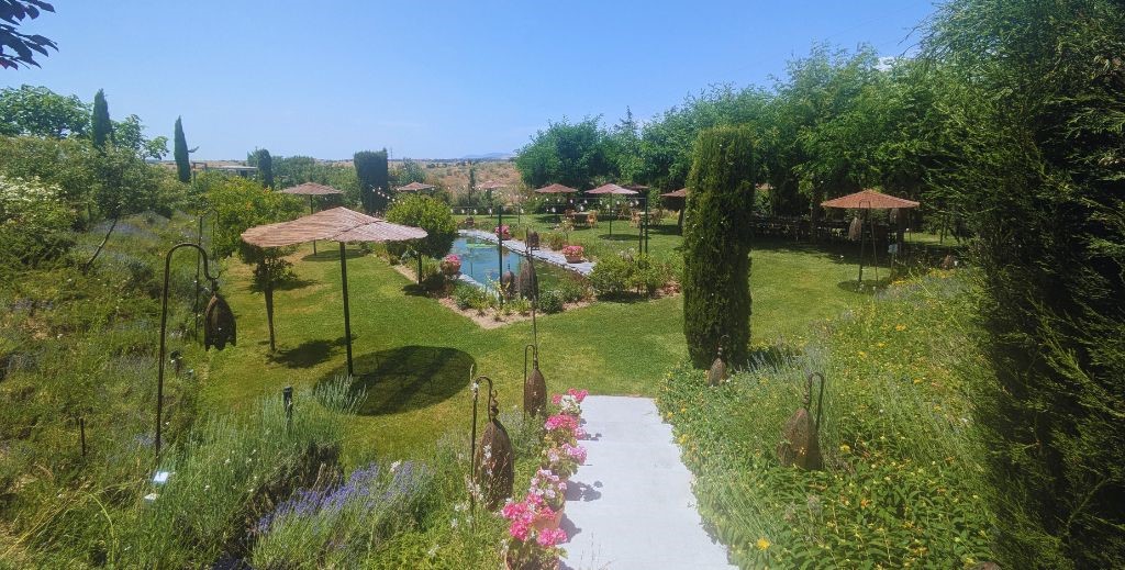 Zona del estanque en la finca Aal Cachucho, San Agustín de Guadalix, Madrid - Mamá Tiene un Plan