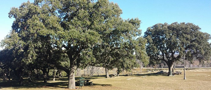 mamatieneunplan-riofrio2