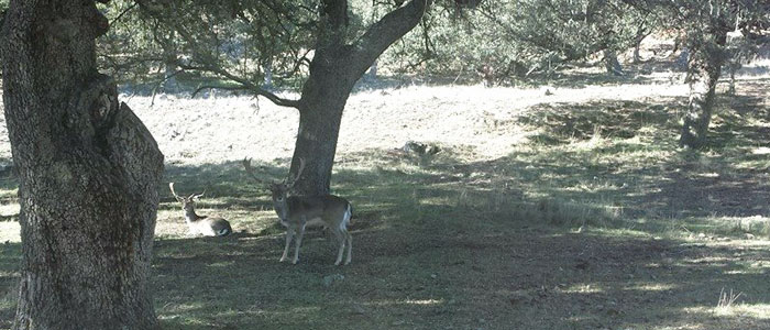 mamatieneunplan-riofrio5