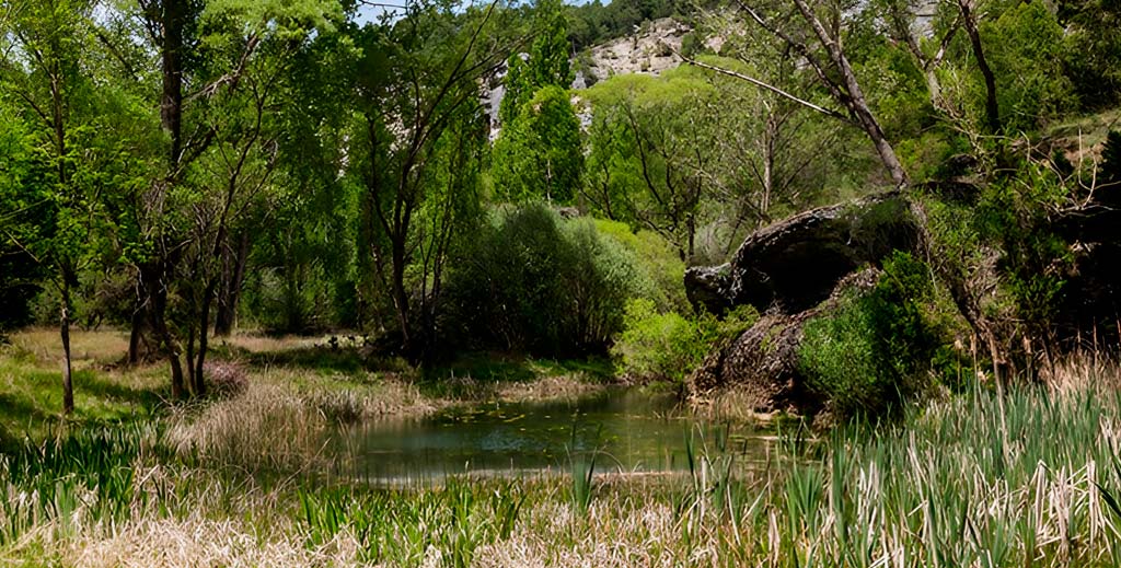 parque rio lobos 00 mamatieneunplan