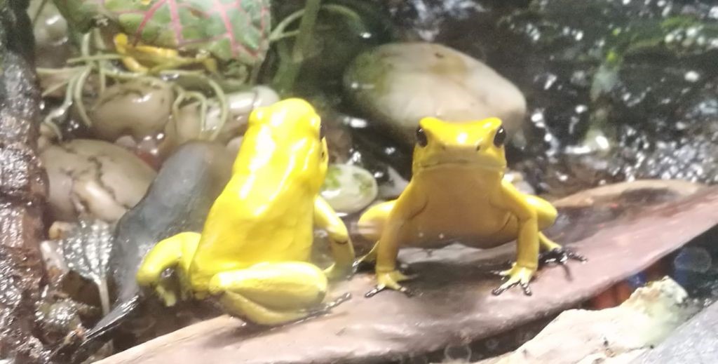 Terra Natura Benidorm - Mamá Tiene un Plan.