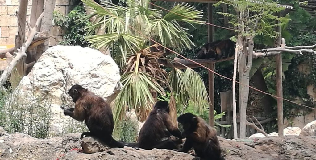 Terra Natura Benidorm - Mamá Tiene un Plan.
