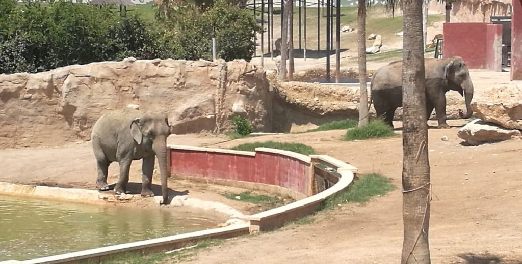 Terra Natura Benidorm - Mamá Tiene un Plan.