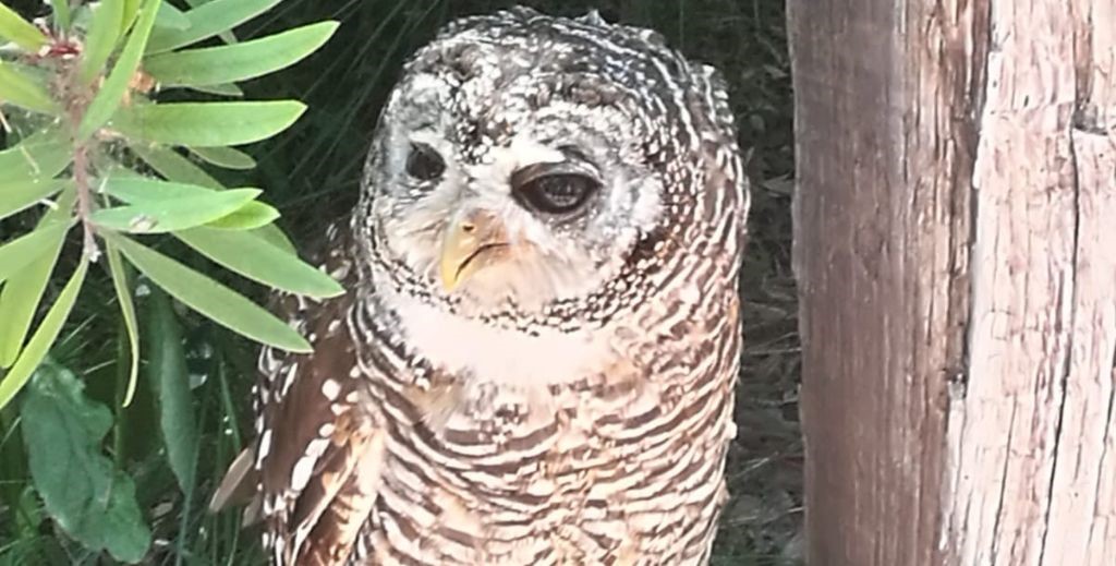 Terra Natura Benidorm - Mamá Tiene un Plan.