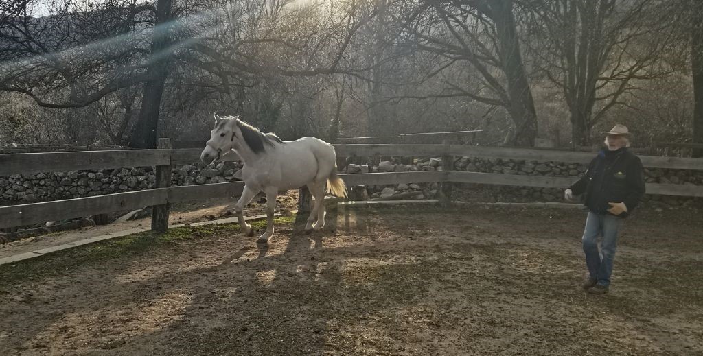 Los mejores planes en la Comunidad de Madrid I: la Sierra Norte 6 planes con ninos en la sierra de madrid mamatieneunplan 00 planes en sierra norte de madrid