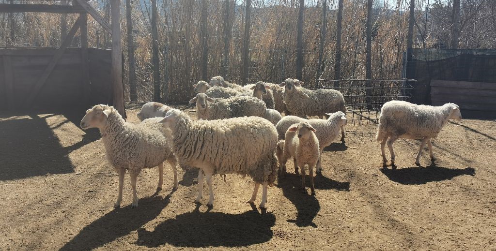 Los mejores planes en la Comunidad de Madrid IV: Las Vegas y la Alcarria 4 planes con ninos en la sierra de madrid mamatieneunplan 03 las vegas y la alcarria madrilena