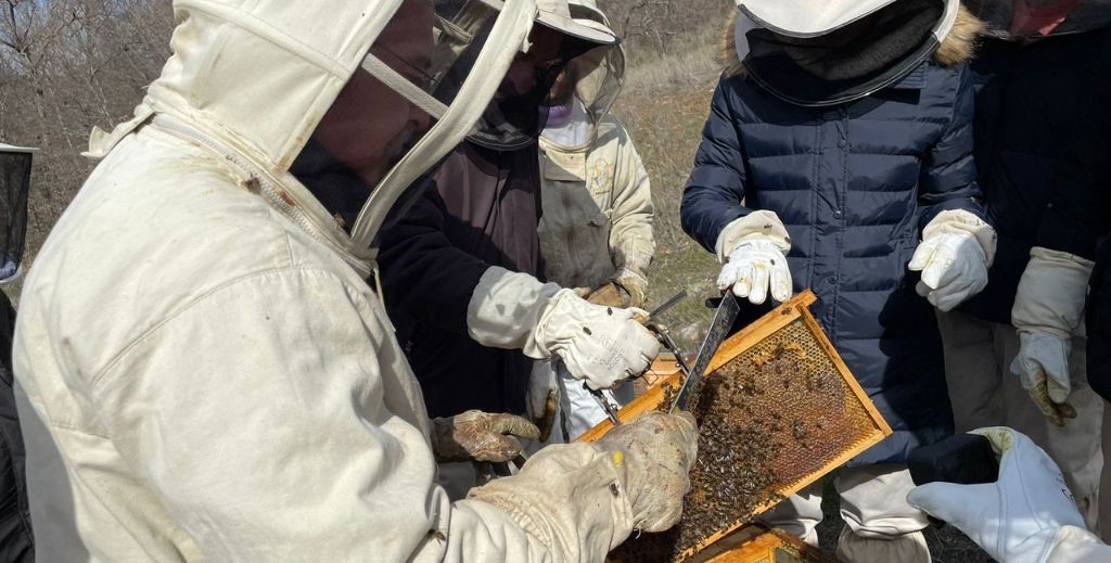 Los mejores planes en la Comunidad de Madrid I: la Sierra Norte 4 planes con ninos en la sierra de madrid mamatieneunplan 10 planes en sierra norte de madrid