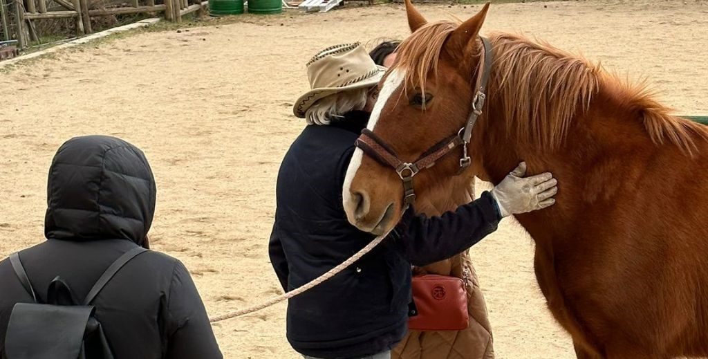 Los mejores planes en la Comunidad de Madrid I: la Sierra Norte 7 planes con ninos en la sierra de madrid mamatieneunplan 11 planes en sierra norte de madrid