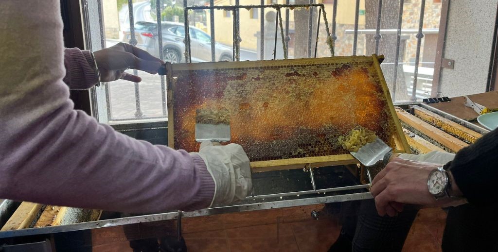 Los mejores planes en la Comunidad de Madrid I: la Sierra Norte 5 planes con ninos en la sierra de madrid mamatieneunplan 12 planes en sierra norte de madrid