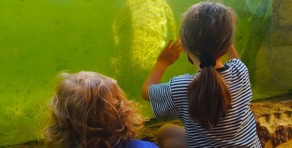 Safari Madrid, en Aldea del Fresno - Mamá Tiene un Plan.