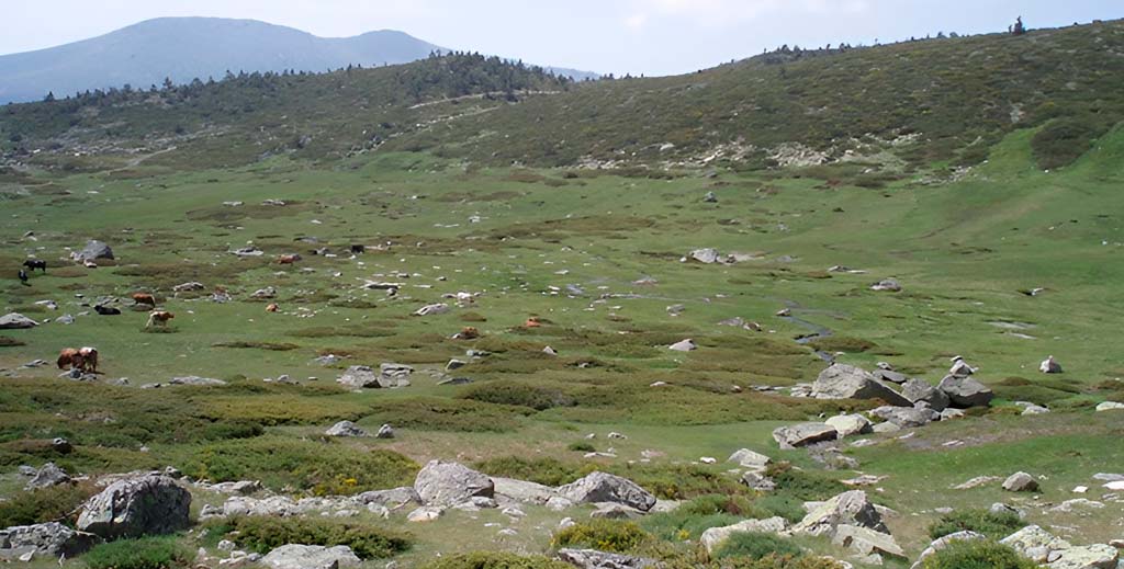 pradera circo de pena 00 mamatieneunplan