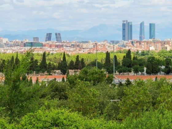 salir en Madrid con tu mascota cunaverde