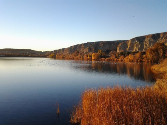 salir en Madrid con tu mascota laguna del campillo