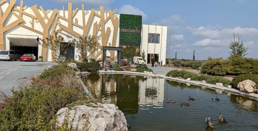 vendimia en familia bodega menade mamatieneunplan 03 ruta vino rueda