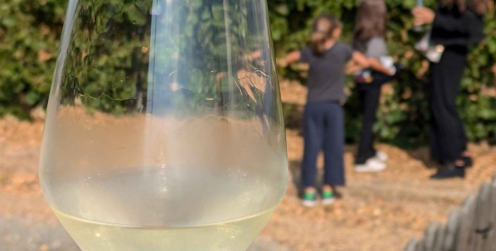 vendimia en familia bodega menade mamatieneunplan 05 ruta vino rueda
