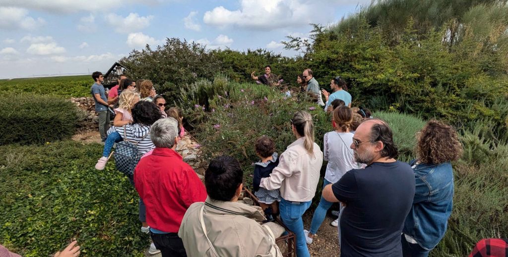vendimia en familia bodega menade mamatieneunplan 07 ruta vino rueda