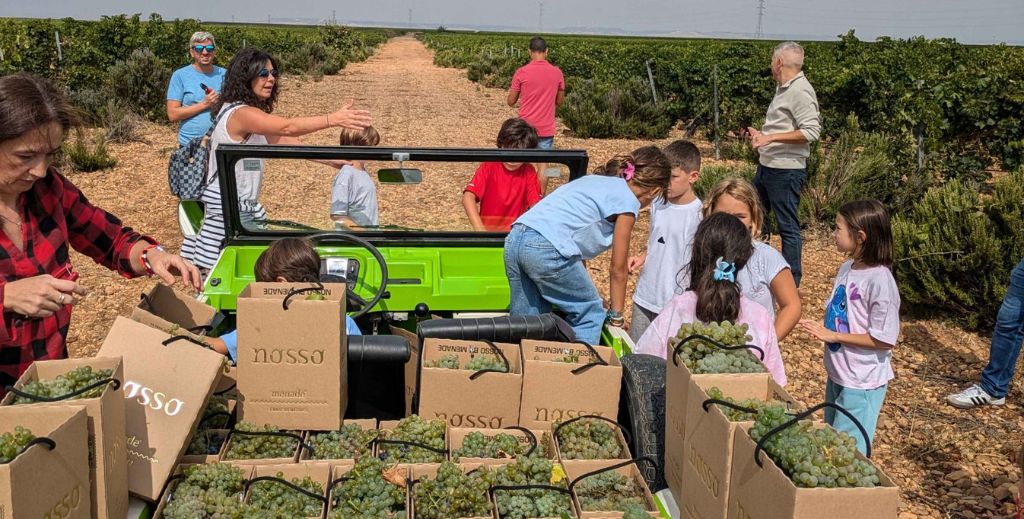 vendimia en familia bodega menade mamatieneunplan 08 ruta vino rueda