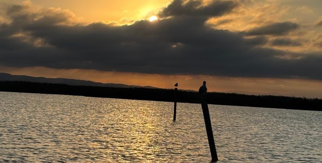 Puesta de sol en La Albufera de Valencia - Mamá Tiene un Plan.