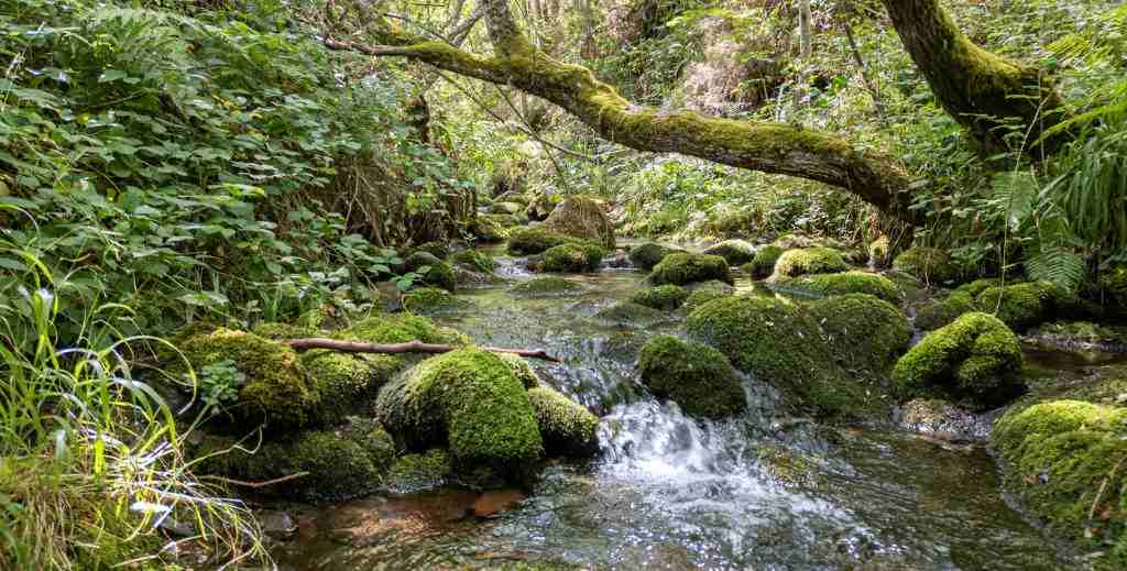 cascadas de altuzarra en burgos mamatieneunplan 00