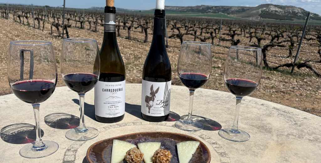 Catas y maridaje en Bodegas Concejo - Mamá tiene un Plan.
