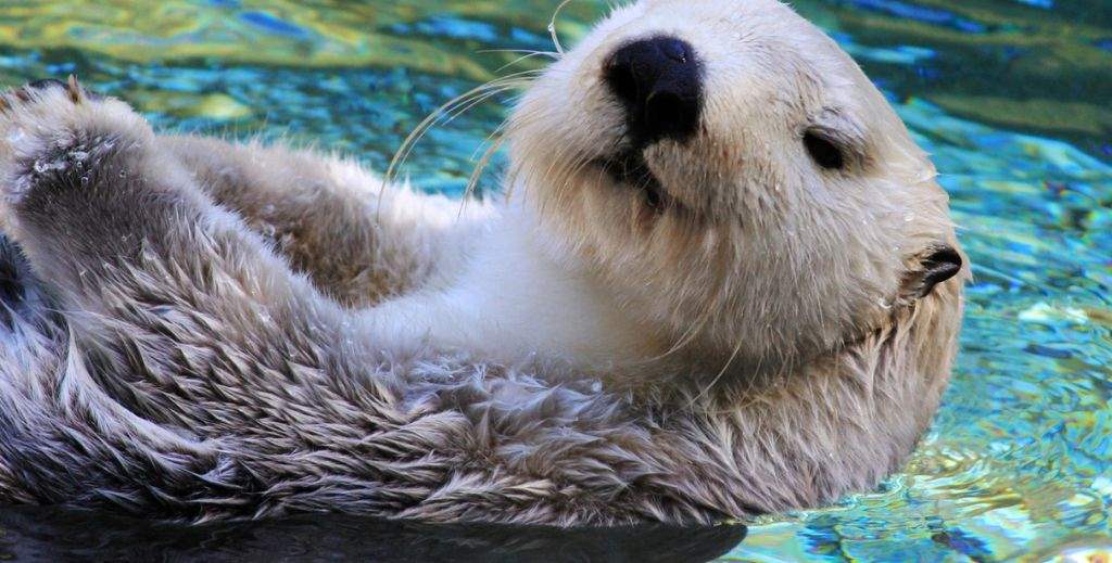 Zoológico de Guadalajara - Mamá tiene un Plan.