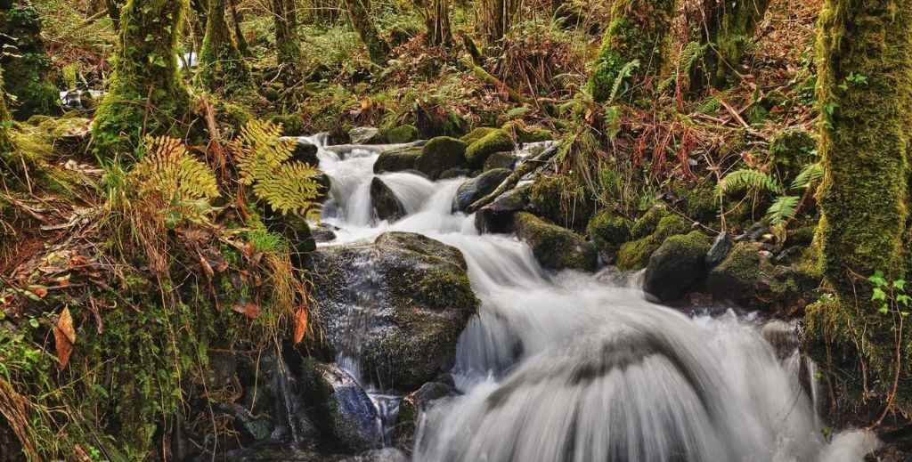 Parque Fragas do Eume con niños - Mamá tiene un Plan.