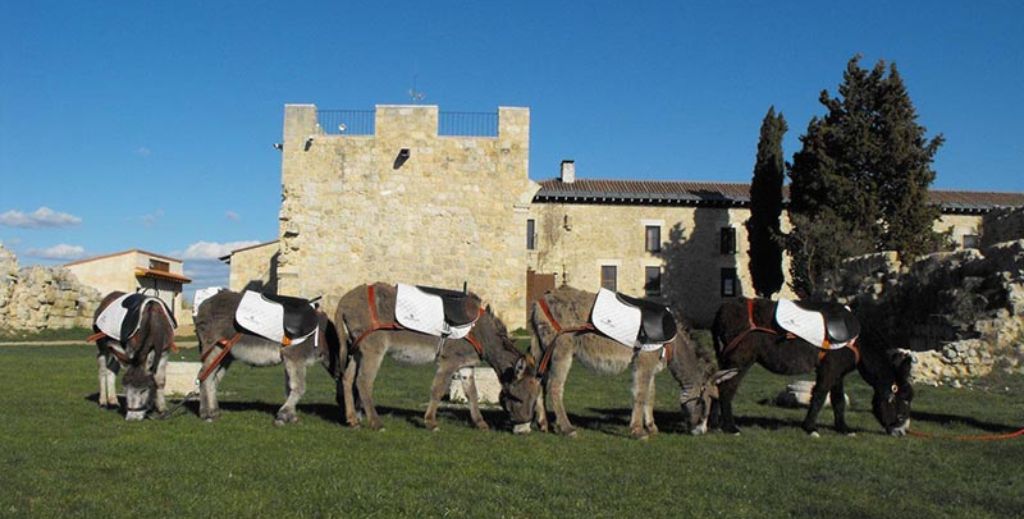 Matallana en Villalba de los Alcores - Mamá tiene un Plan.