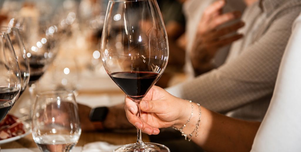 Ribera del Duero vs. Rioja: la experiencia enoturística perfecta en familia y a solo 2 horas de Madrid 3 Cata comentada de Ribera del Duero y Rioja - Mamá tiene un Plan.