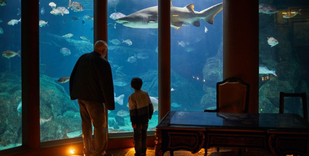 Aquarium Finisterrae con niños - Mamá tiene un Plan.
