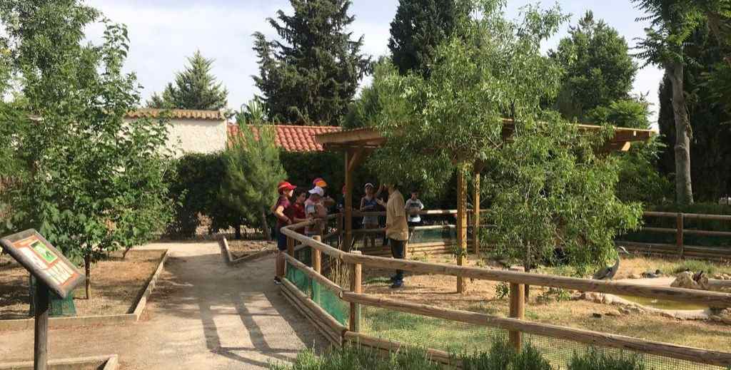 Centro de Recuperación de la Fauna de Albacete - Mamá tiene un Plan.