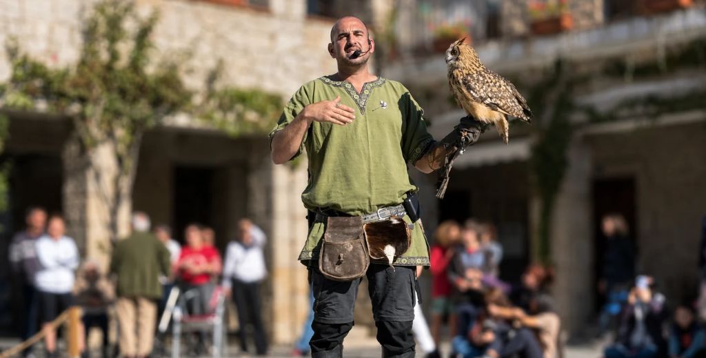 Espectáculo de cetrería en Hoyo de Manzanares dentro del programa de actividades de Noviembre Visigodo.